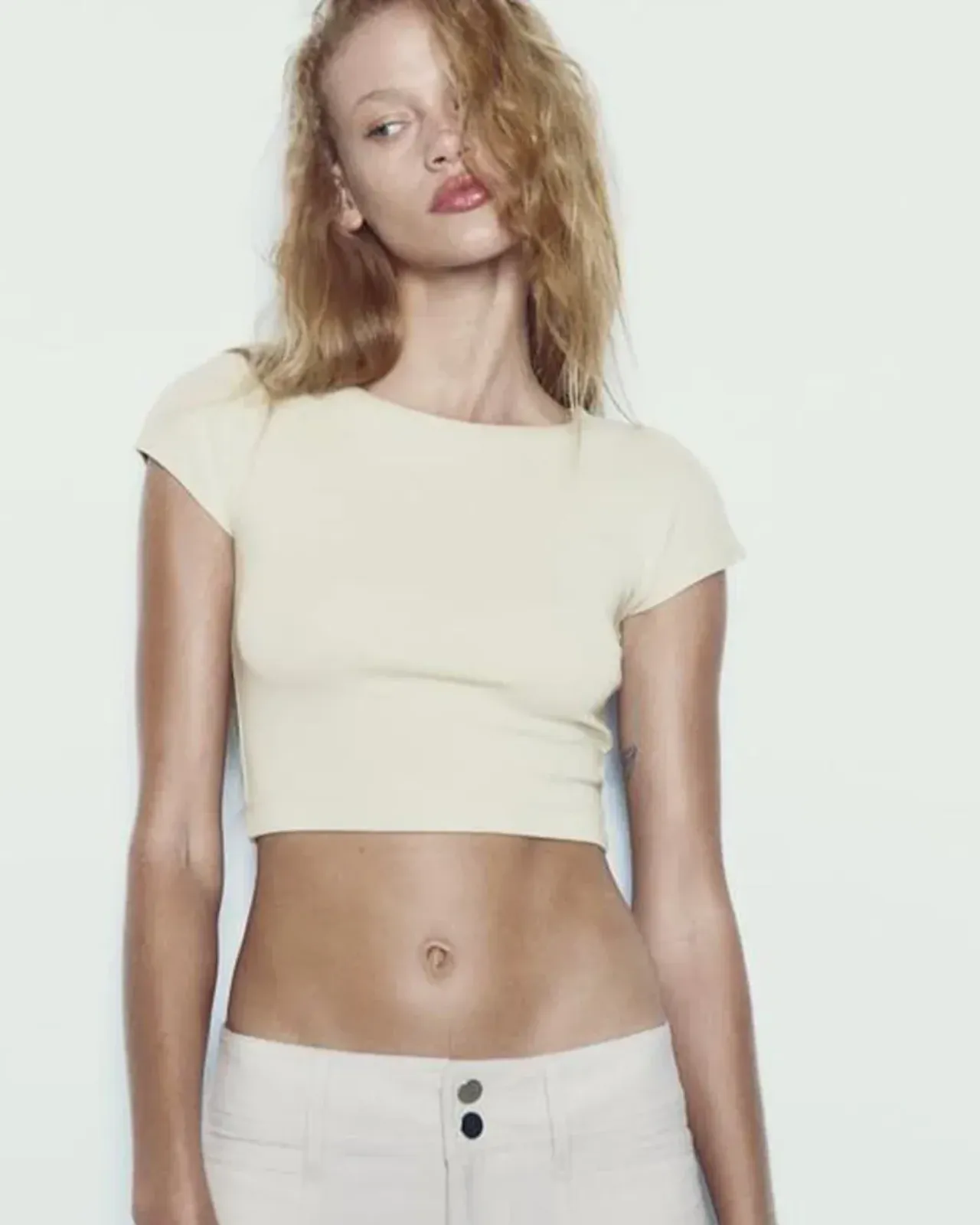 Zara crop top
